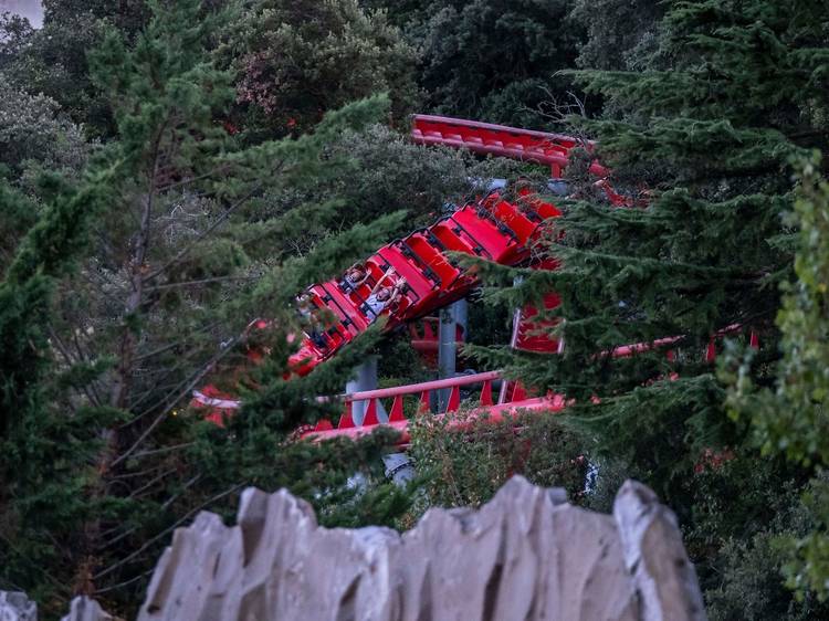 Viviu el Tibidabo al complet!