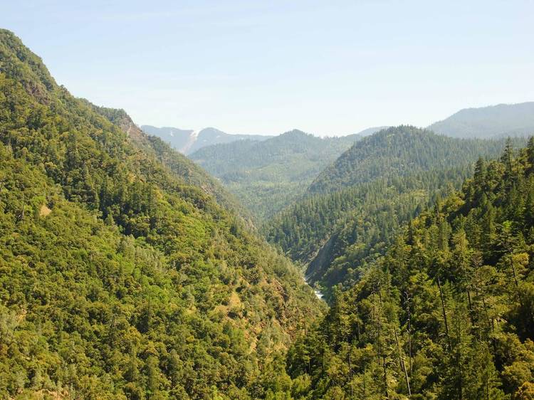 10 Best National Forests in California for an Outdoor Adventure