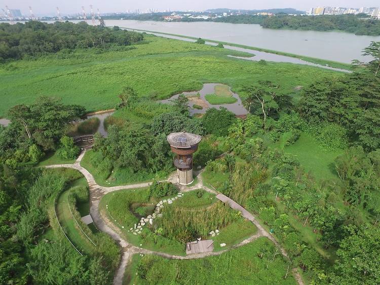 Kranji Marshes