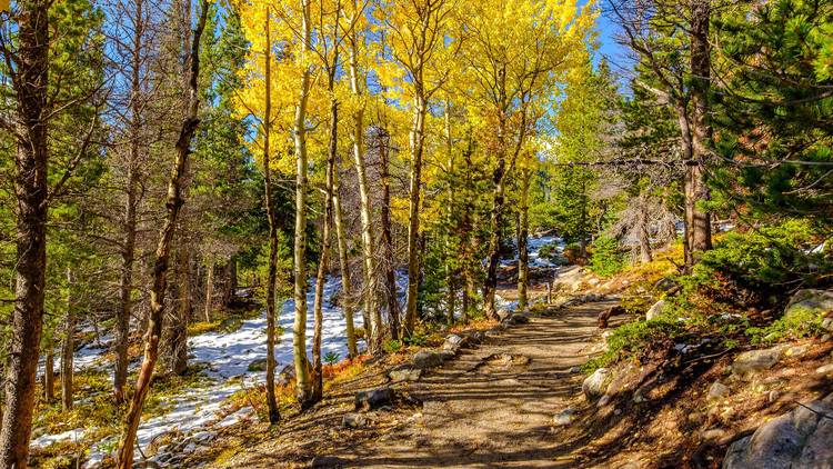 Aspen, CO