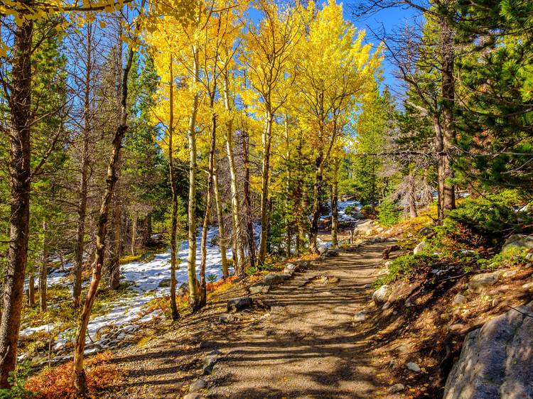 Aspen, CO