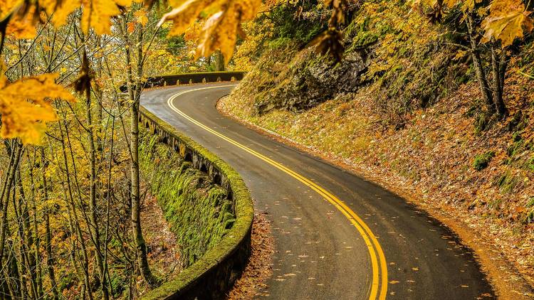 Oregon fall foliage 