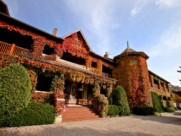 Lynfred Winery