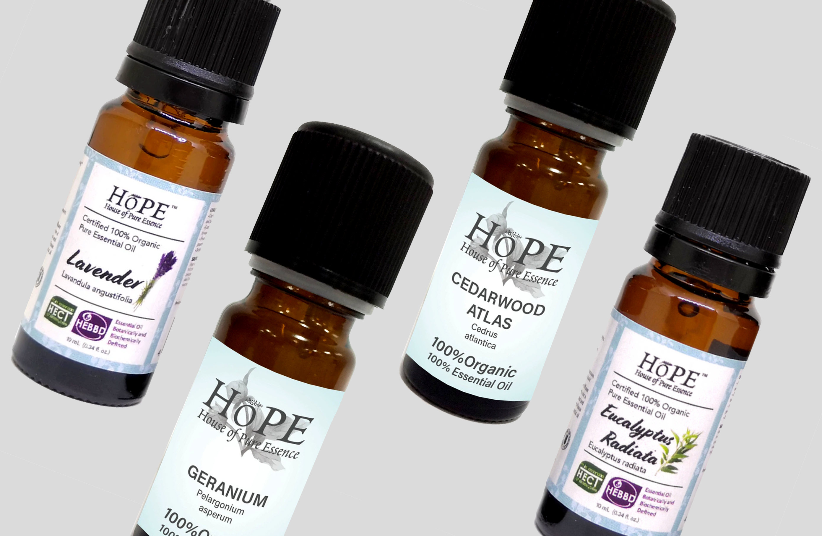 The Best Essential Oil Stores And Brands Available In Hong Kong