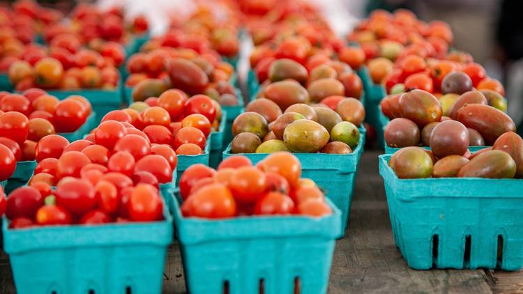 union square green market