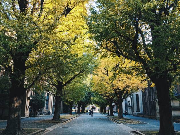 University of Tokyo stock photo University of Tokyo stock photo