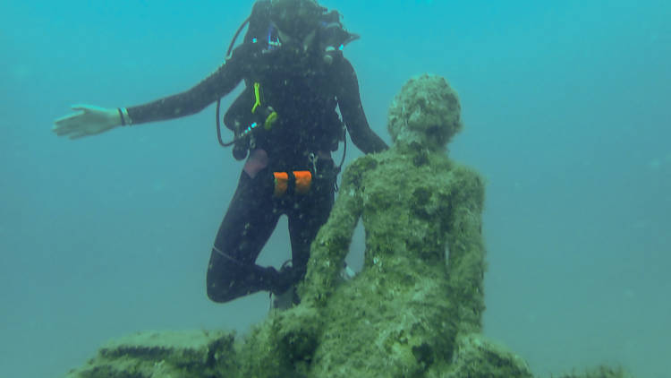 1000 Mermaids Artificial Reef Project
