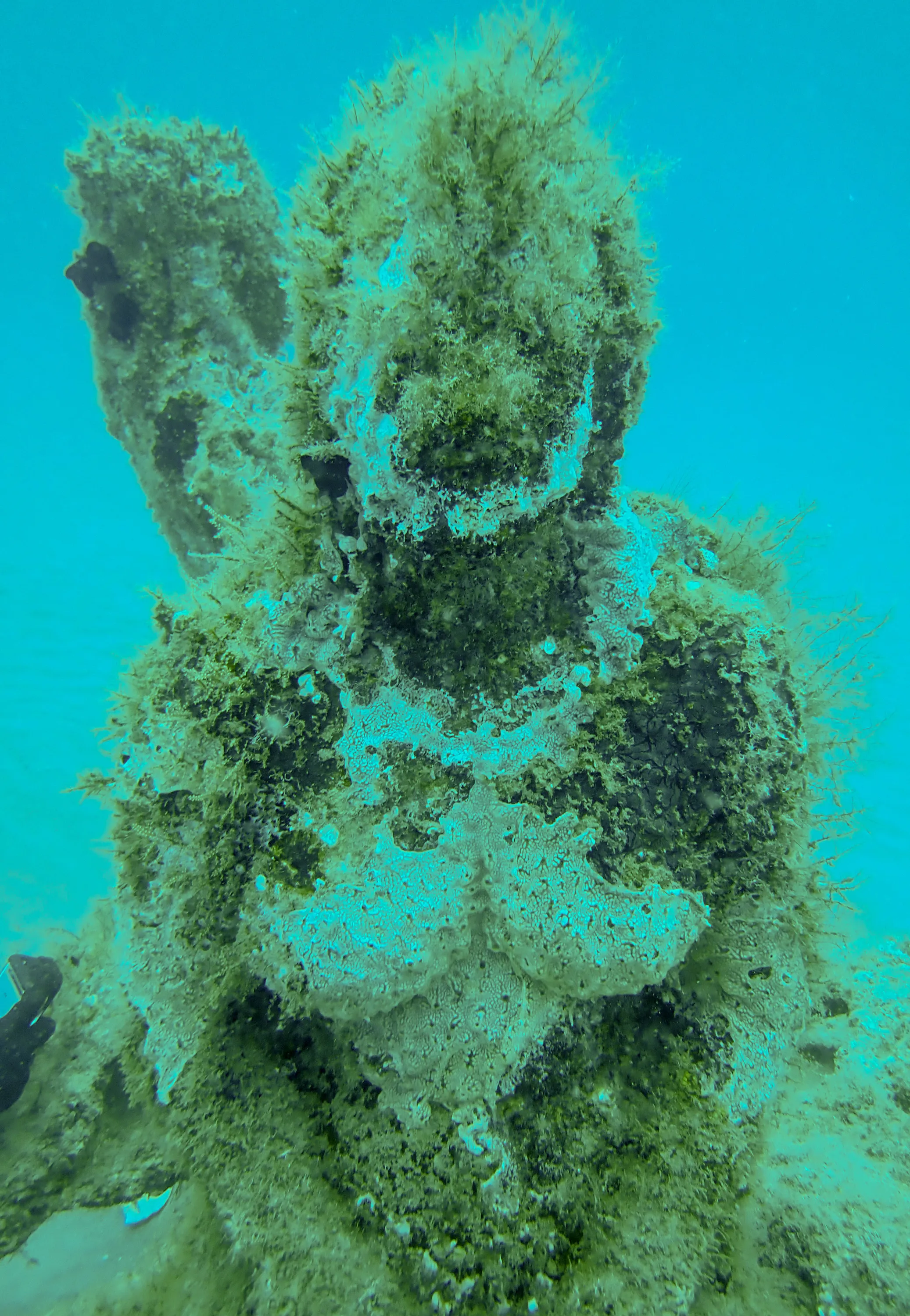 1000 Mermaids Artificial Reef Project