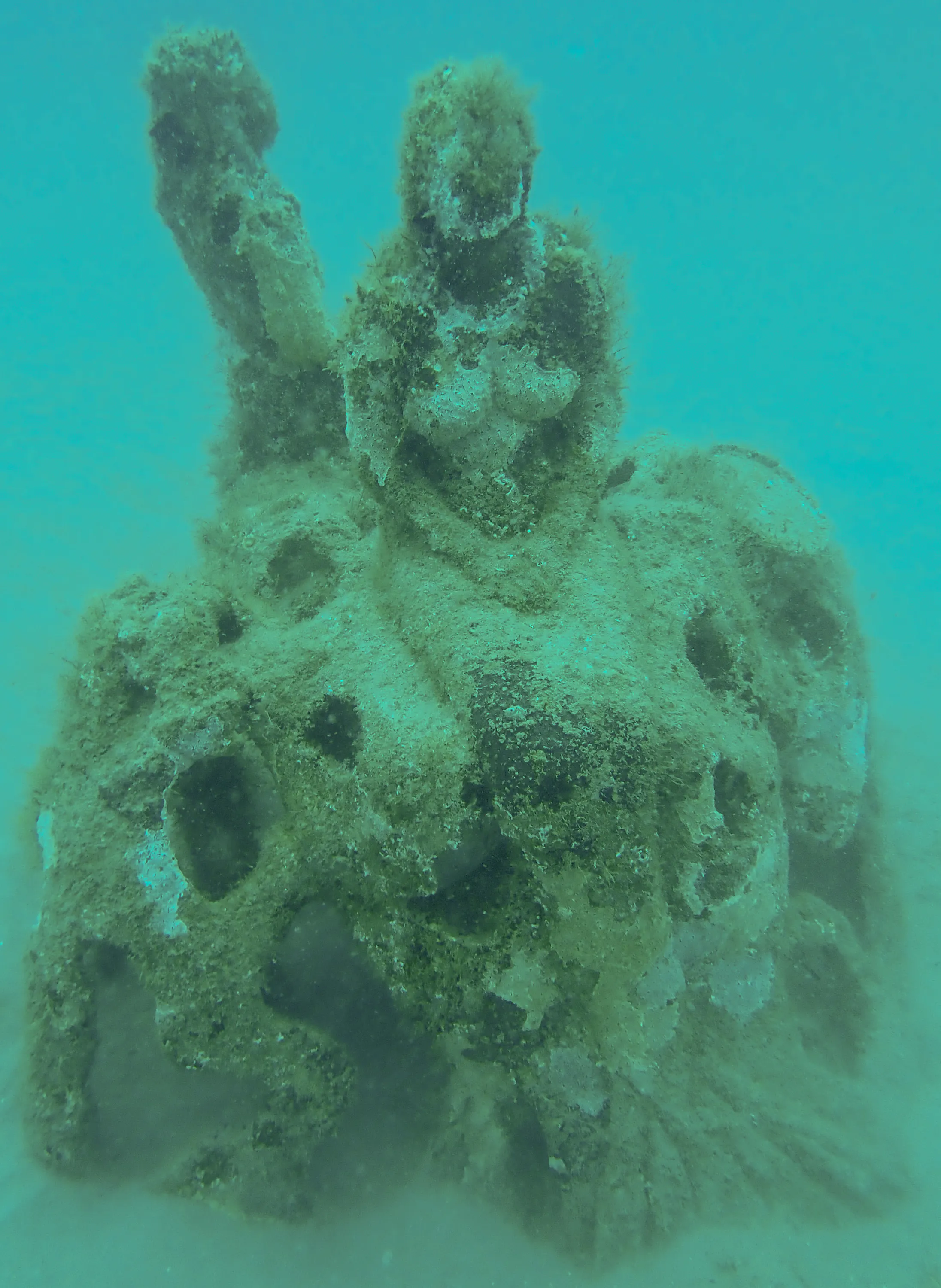 1000 Mermaids Artificial Reef Project