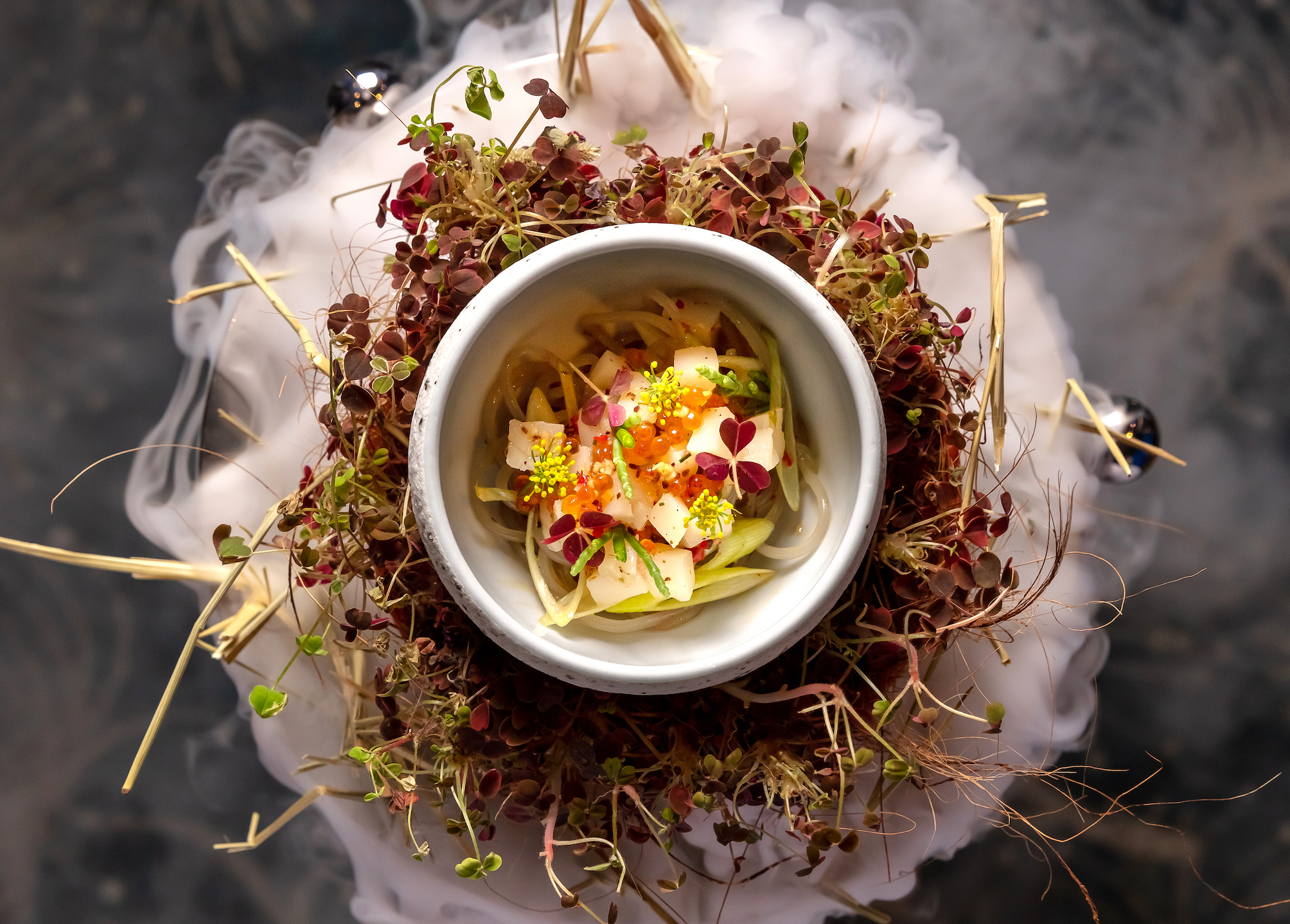 Aqua Gastronomy Misty Morning Sea