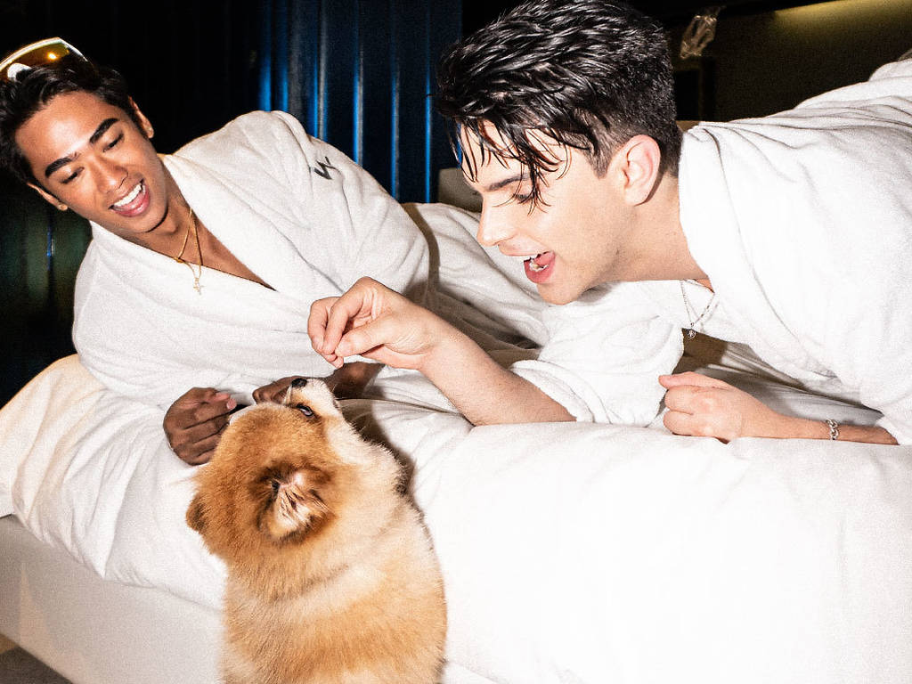 Best petfriendly spots in Bangkok