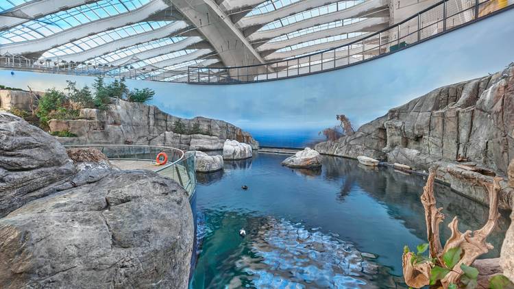 Montreal Biodome