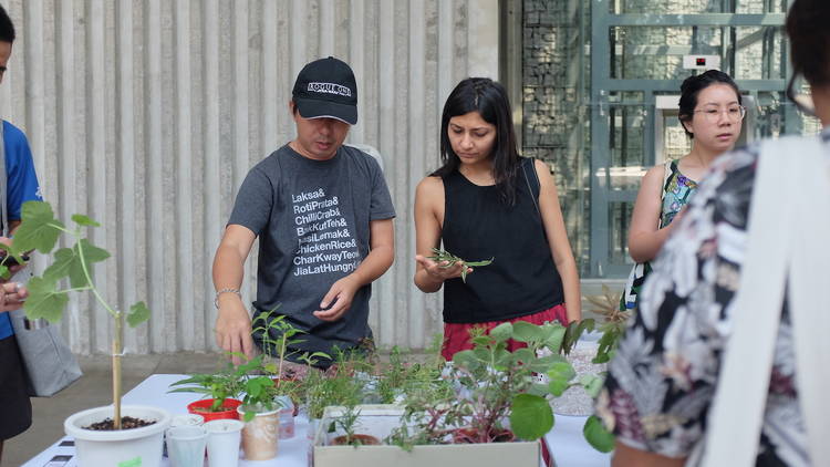 #Swap4Earth Virtual Eco-Conscious Festival 