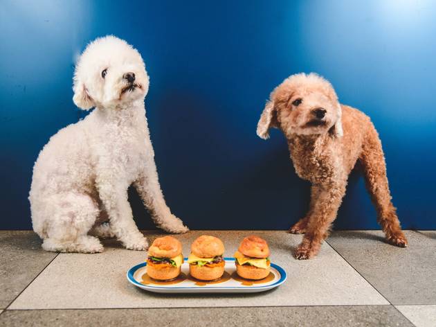 Honbo Paw-sible Burger Honbo Paw-sible Burger