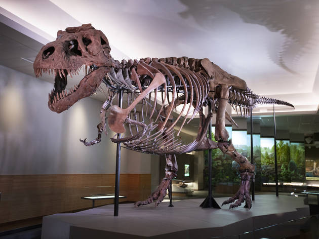 Sue the T. rex