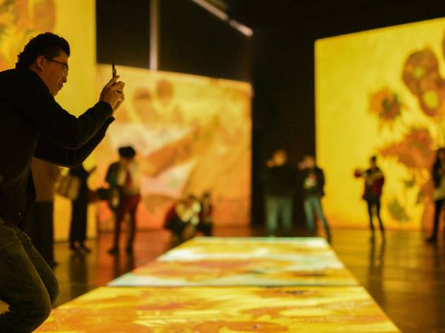 'Sunflowers' at Van Gogh Alive Sydney 2020 A man takes a photograph of a hue projection of Van Gogh's 'Sunflowers'