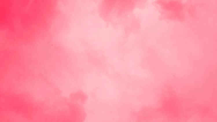 rosa rosa