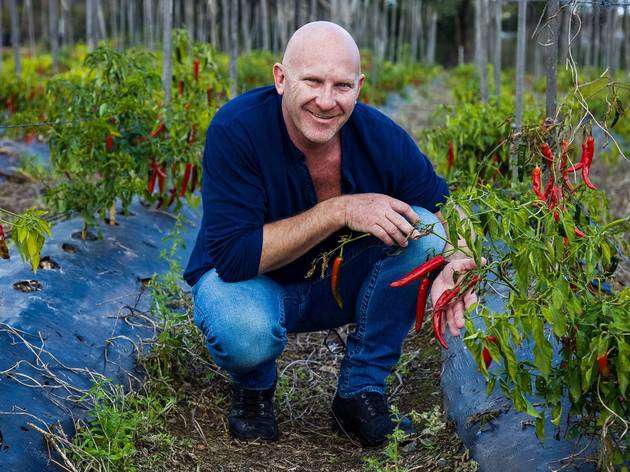 Matt Moran Matt Moran