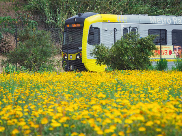 Metro