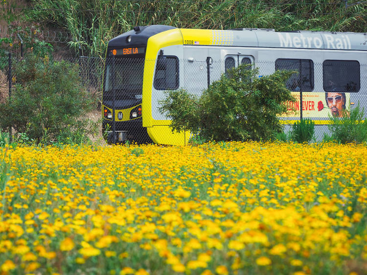 Metro might make bus and rail service free in Los Angeles