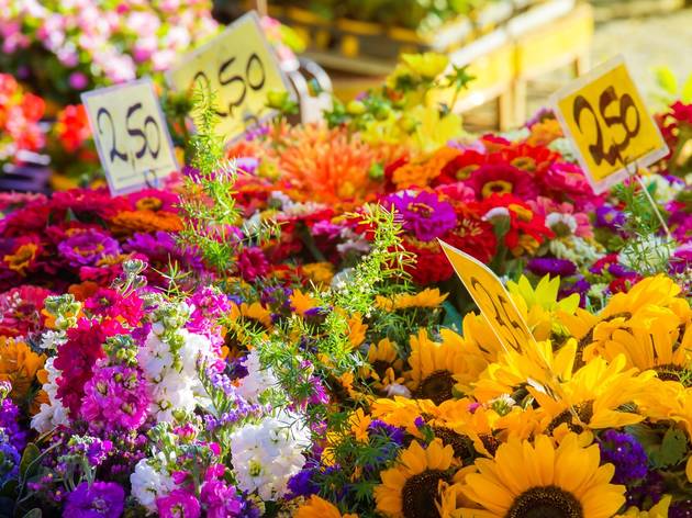 flower market