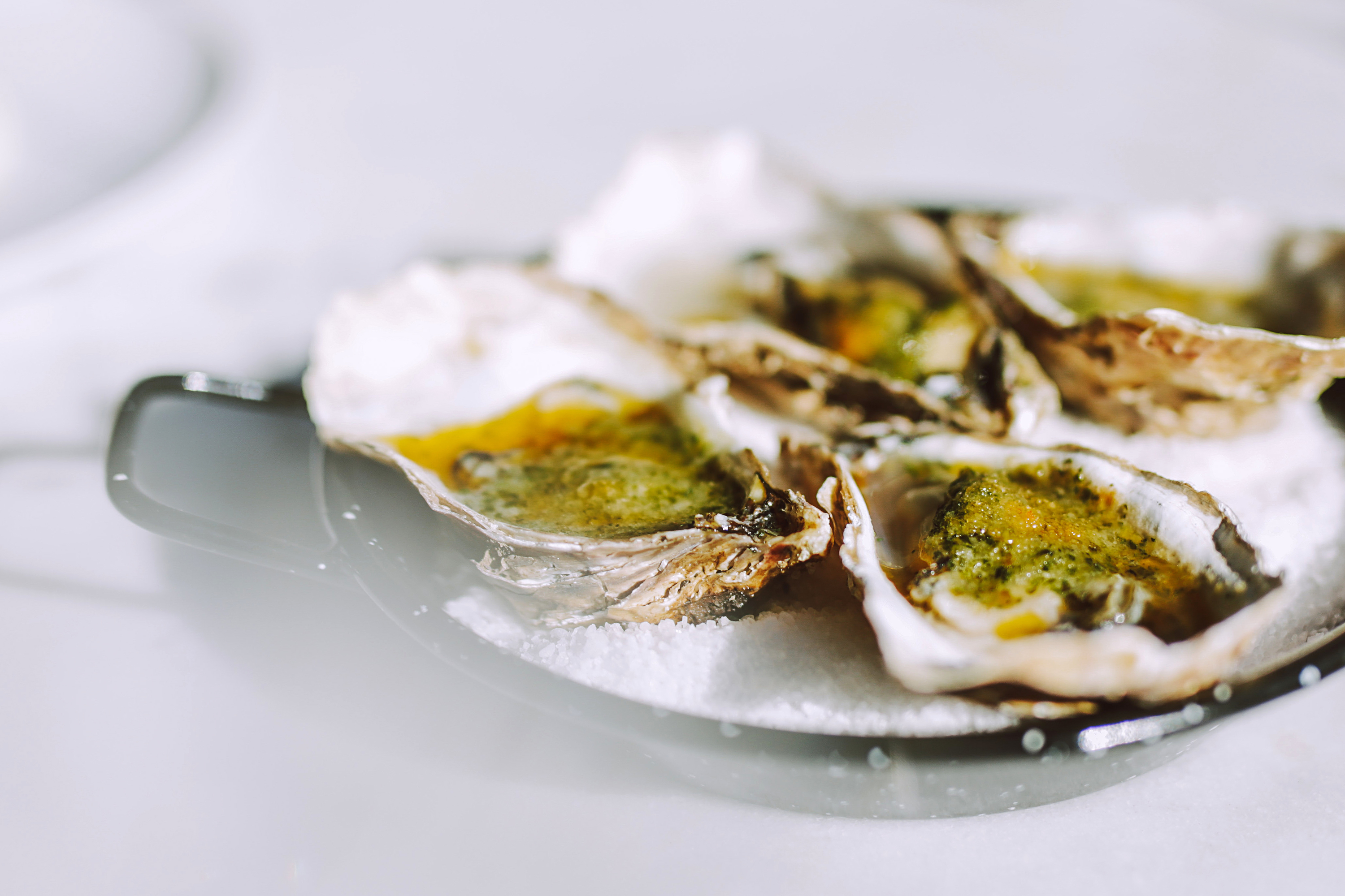Oyster & Margarita - Bulgakov
