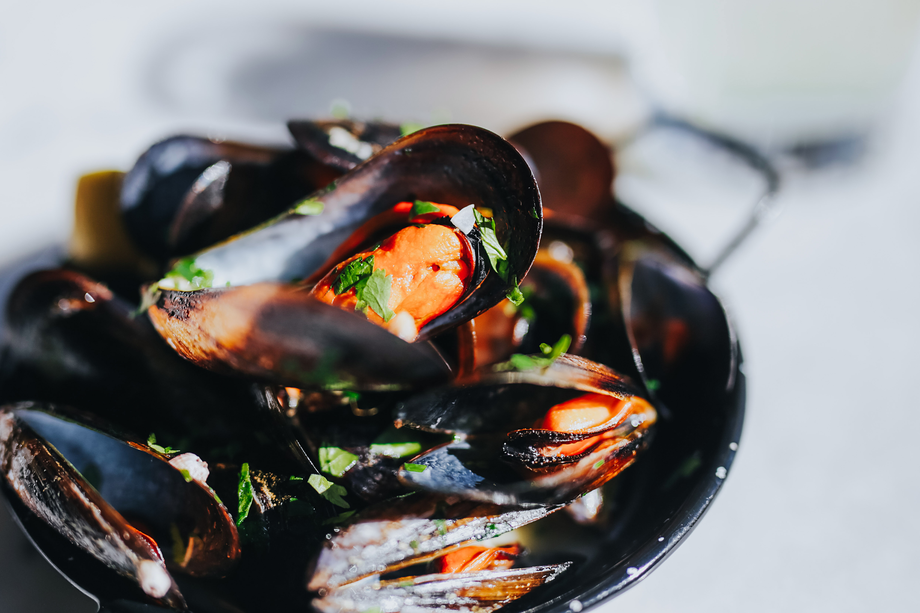 Oyster & Margarita - Bulgakov