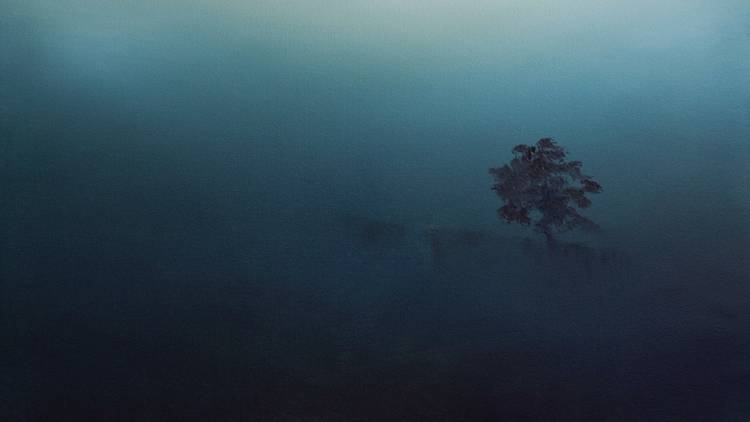 A ghostly tree set against a blue green hazy backdrop of bushfire smog