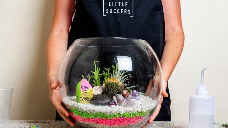 Person holding a terrarium