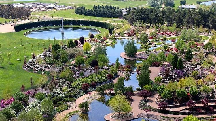 Aerial view of the colourful mayfield garden and fountain