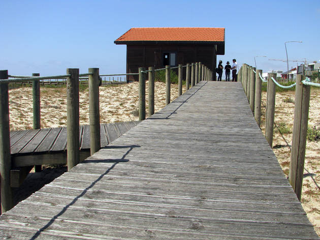 Aguda Aguda