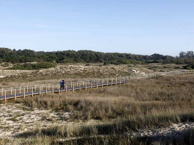 Reserva Ornitológica de Mindelo Reserva Ornitológica de Mindelo