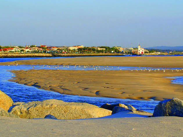 Estuário do Cávado Estuário do Cávado