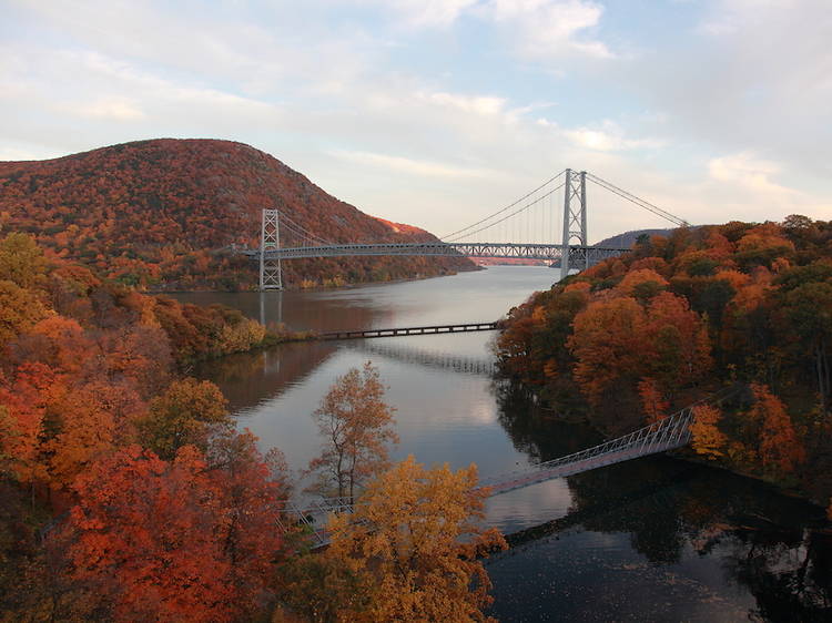 nyc fall 