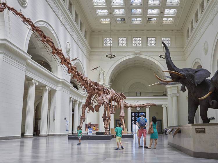 Travel back in time at the Field Museum