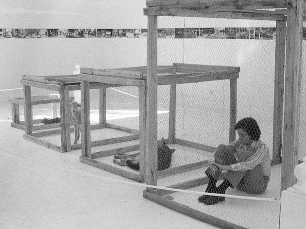 'Imatges del zoo', de Fina Miralles 'Imatges del zoo', de Fina Miralles