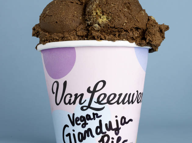 Van Leeuwen van leeuwen ice cream