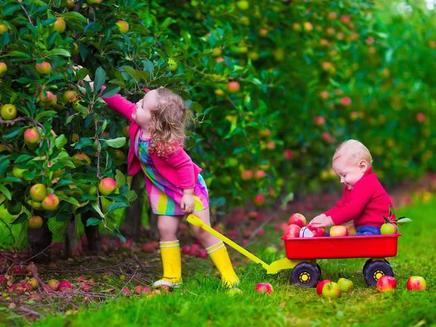 Governor Cuomo provides an update on fall activities for kids in New York