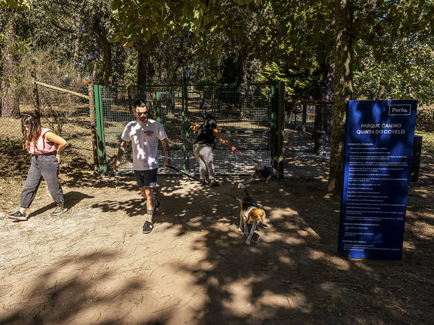 Parque Canino da Quinta do Covelo no Porto Parque Canino da Quinta do Covelo
