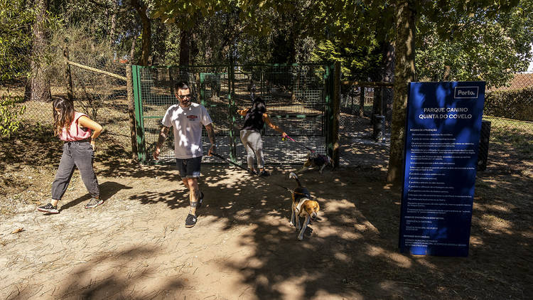 Leve o seu animal de estimação a passear ao Parque Canino da Quinta do Covelo