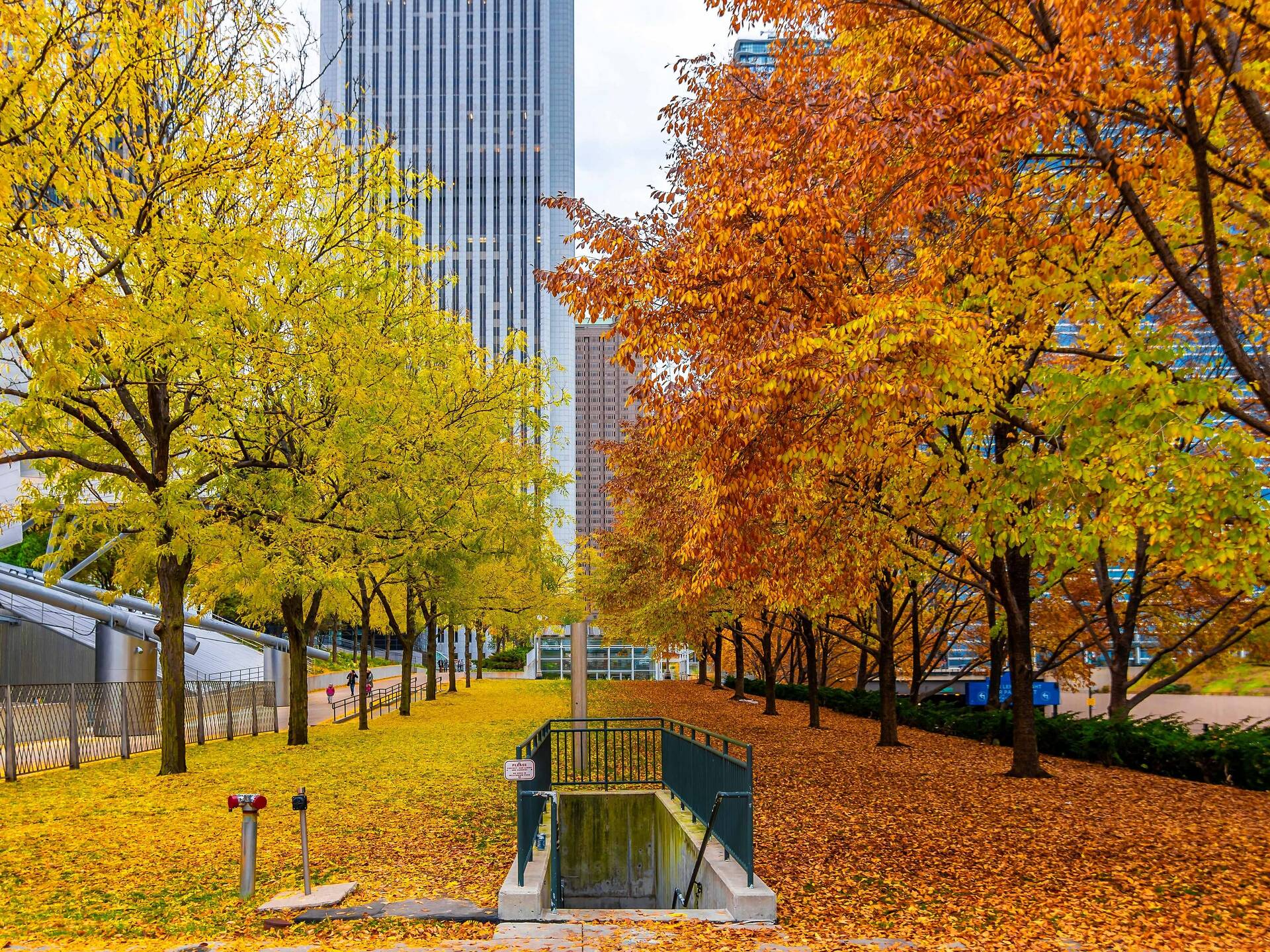 Things to Do in Chicago Your Ultimate Guide to Chicago