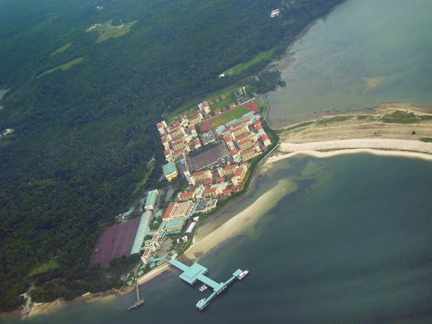 Pulau Tekong