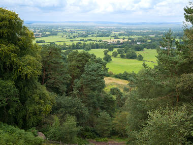 Cheshire Cheshire