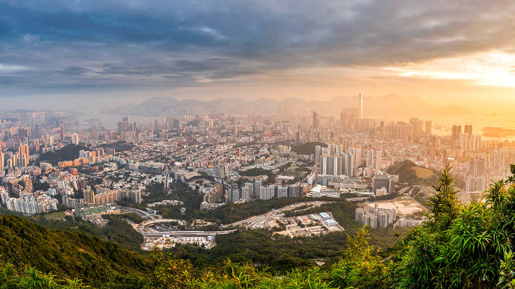 5 Accessible city hikes in Kowloon