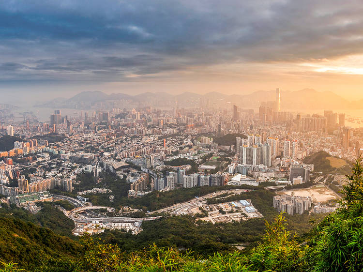 5 Accessible city hikes in Kowloon