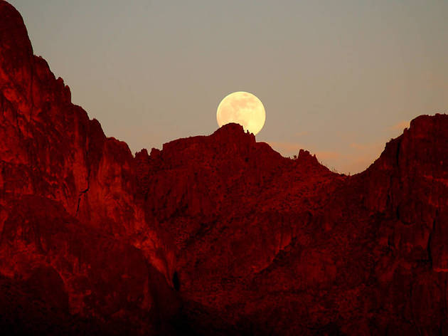 Els fenòmens astronòmics més impactants que veurem en 2020 Photograph: Danette C / Shutterstock.com