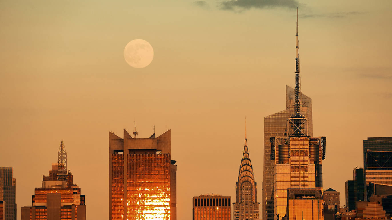 Photograph: Shutterstock
