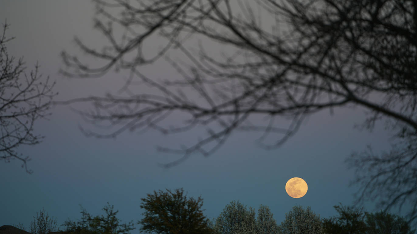 Photograph: Shutterstock