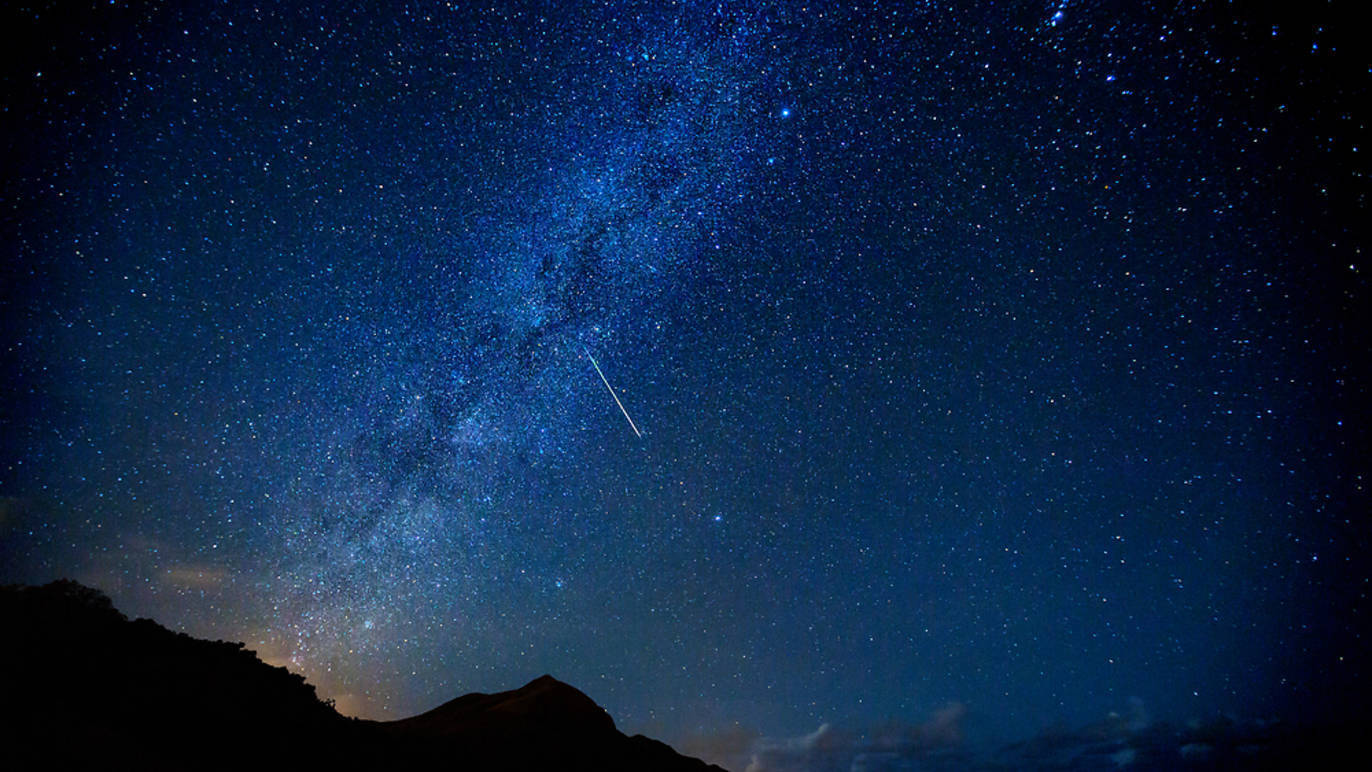 Photograph: Shutterstock