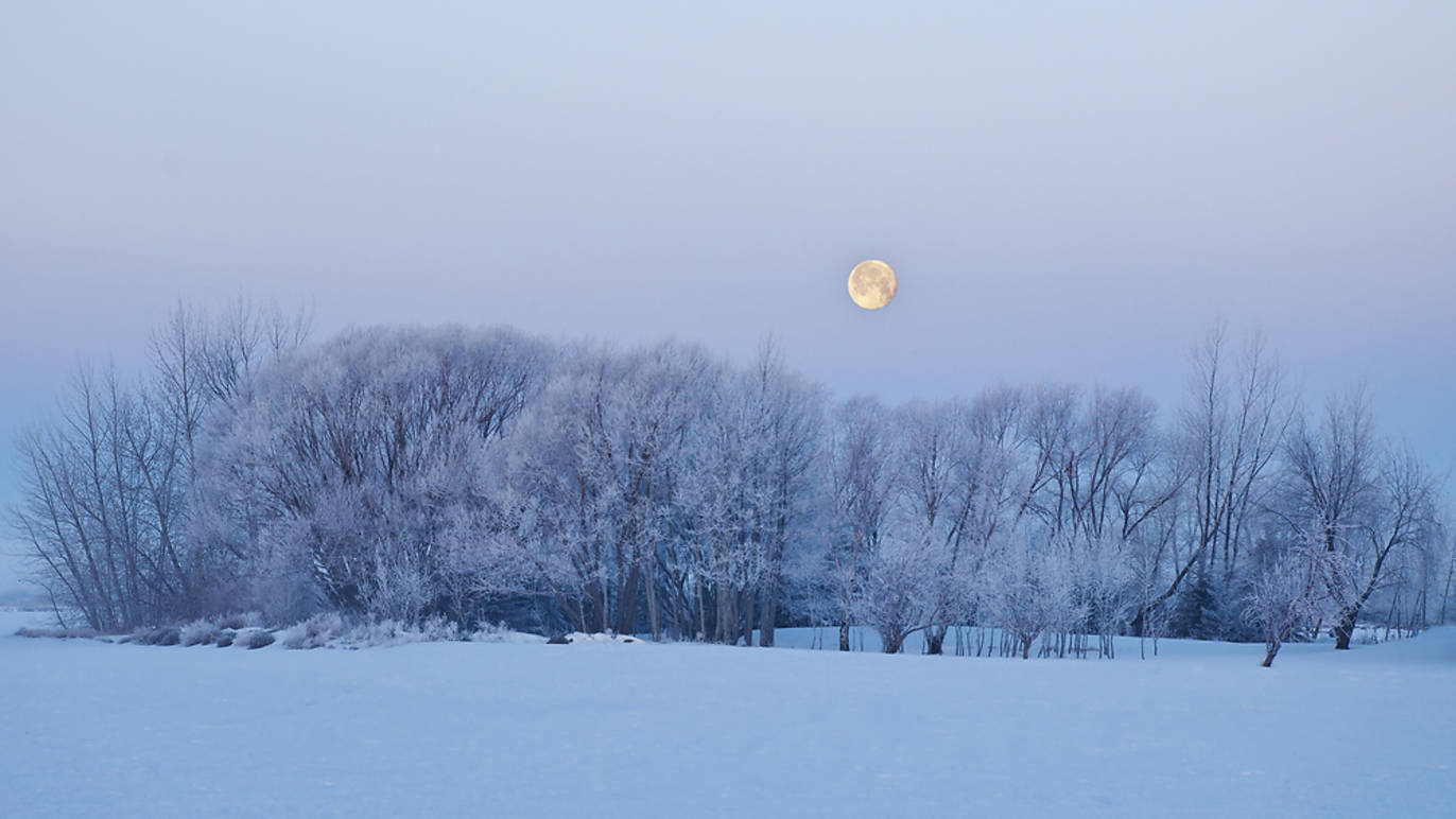 Photograph: Shutterstock